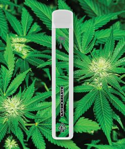 ,Order THC Vapes in Exeter is a surprisingly relaxing option for afternoon into evening relief. No gators were harmed in the growing of this strain.