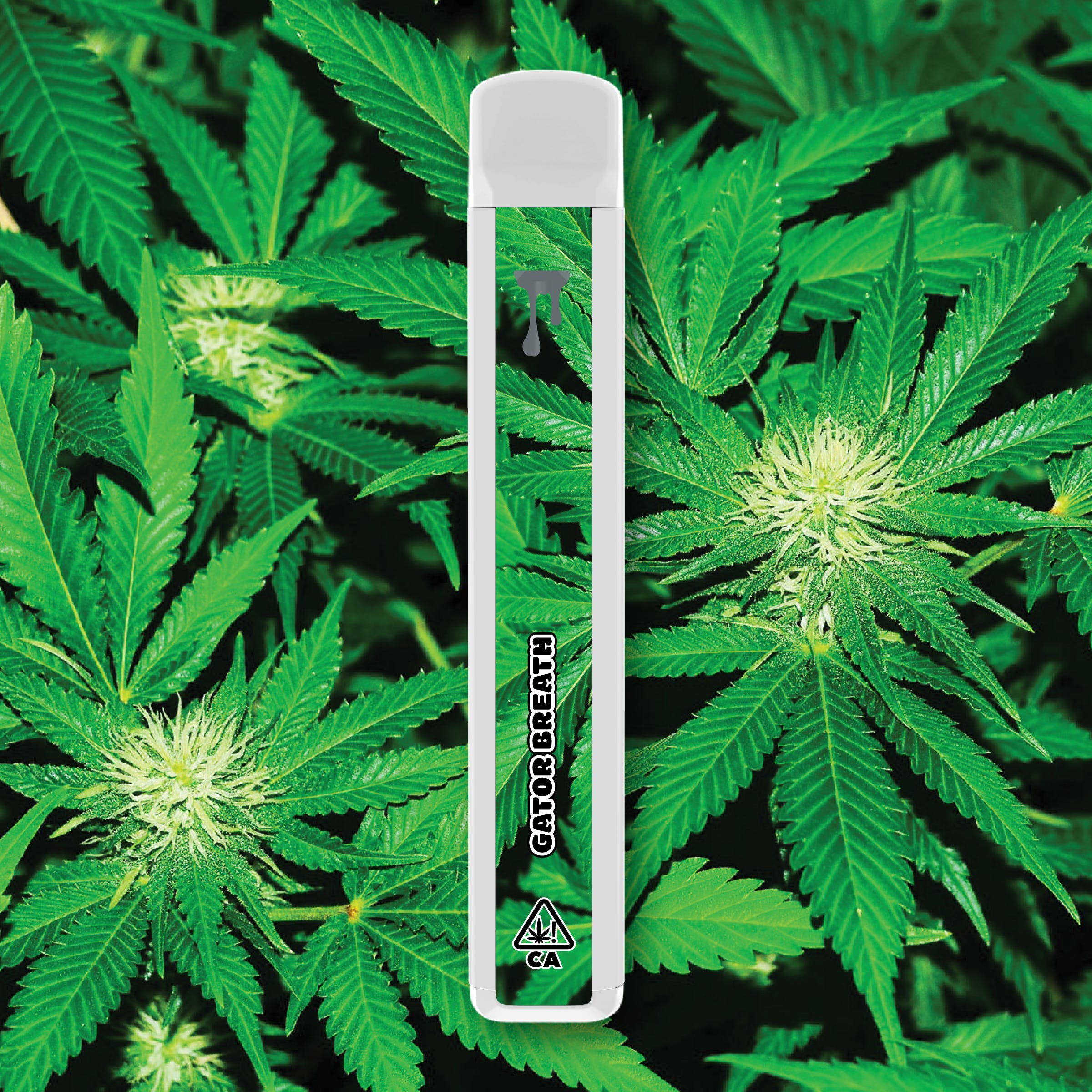 ,Order THC Vapes in Exeter is a surprisingly relaxing option for afternoon into evening relief. No gators were harmed in the growing of this strain.
